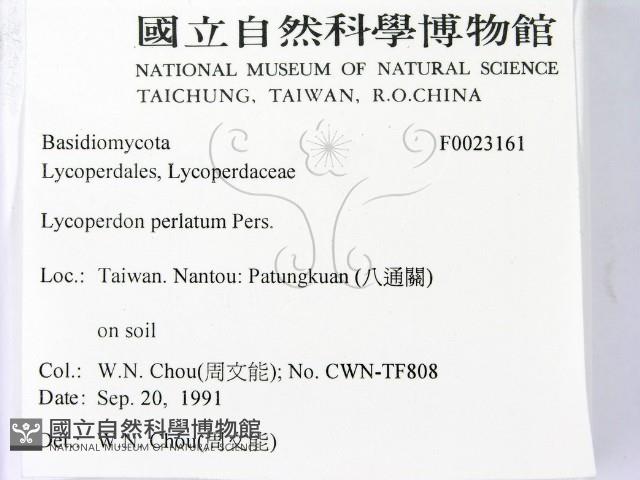 登錄號:F0023161藏品圖，第2張