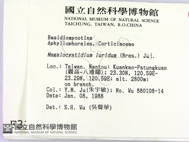 登錄號:F0003161藏品圖，第2張