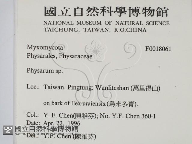 登錄號:F0018061藏品圖，第2張