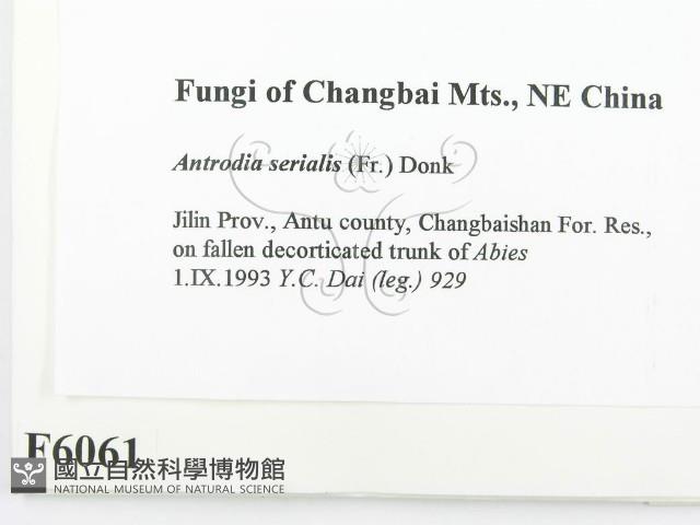登錄號:F0006061藏品圖，第2張