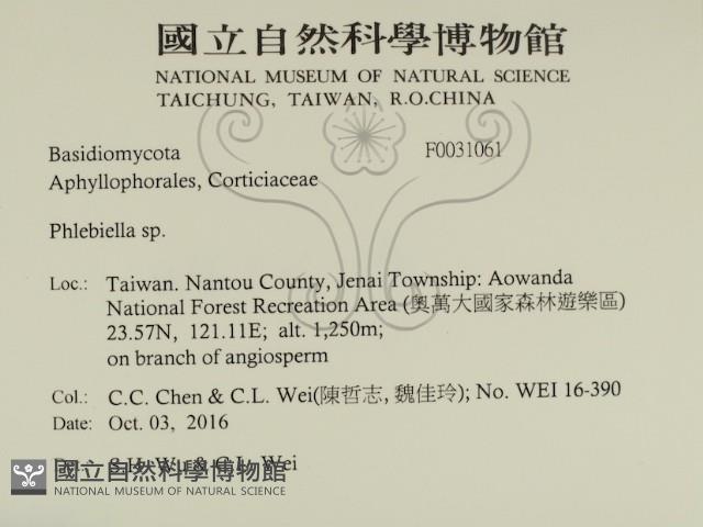 登錄號:F0031061藏品圖，第2張