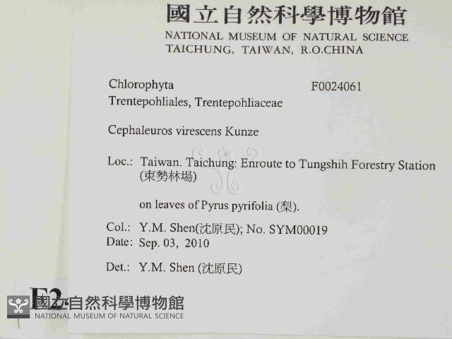 登錄號:F0024061藏品圖，第2張