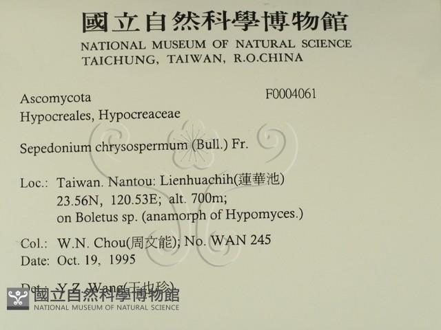 登錄號:F0004061藏品圖，第2張