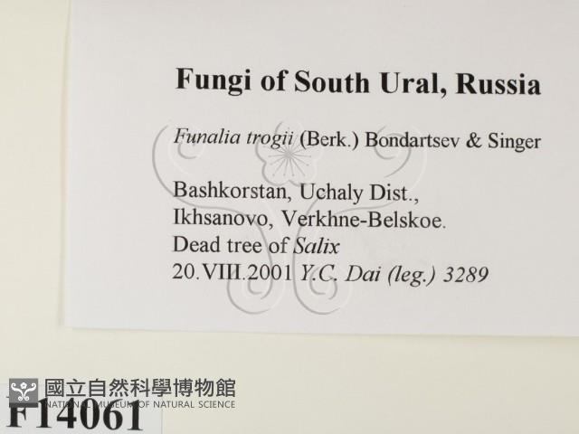 登錄號:F0014061藏品圖，第2張