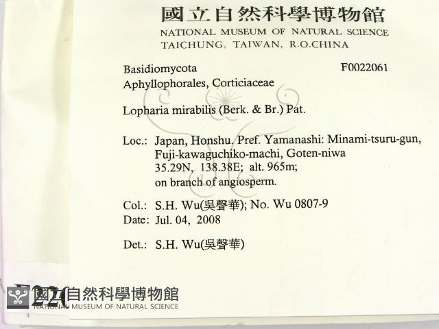 登錄號:F0022061藏品圖，第2張