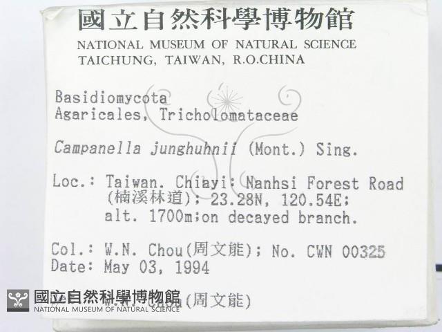 登錄號:F0002061藏品圖，第2張