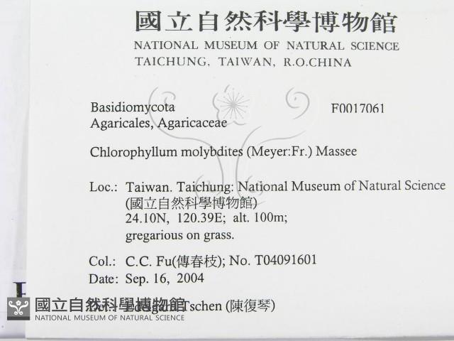 登錄號:F0017061藏品圖，第2張
