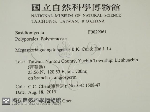 登錄號:F0029061藏品圖，第2張