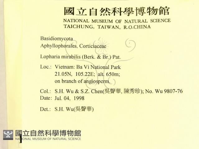 登錄號:F0009061藏品圖，第2張