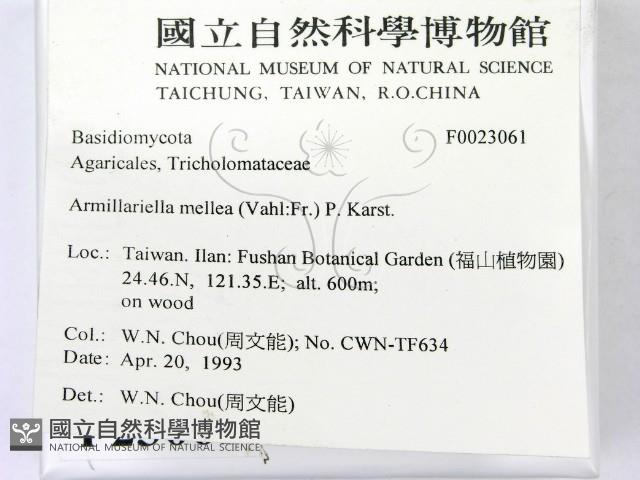 登錄號:F0023061藏品圖，第2張