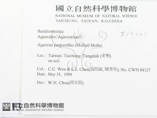 登錄號:F0013061藏品圖，第2張