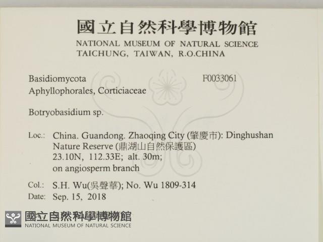 登錄號:F0033061藏品圖，第2張