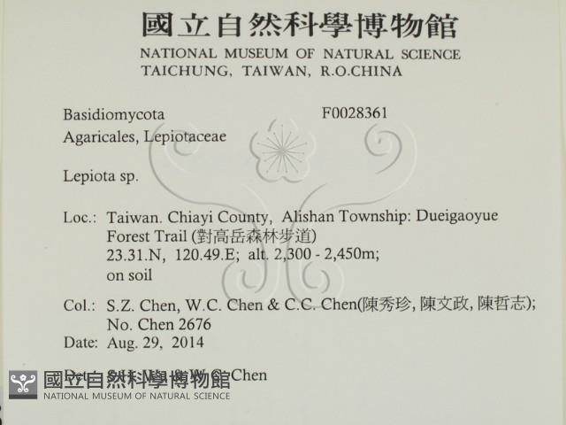 登錄號:F0028361藏品圖，第2張