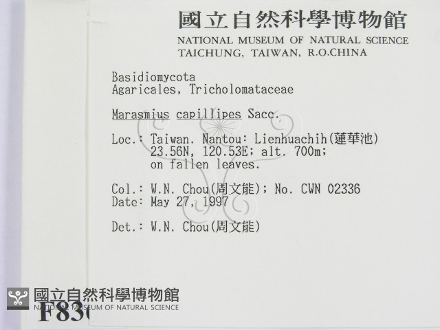 登錄號:F0008361藏品圖，第2張