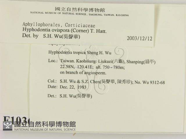 登錄號:F0010361藏品圖，第2張