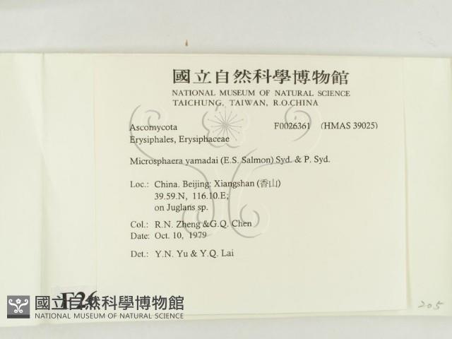 登錄號:F0026361藏品圖，第2張