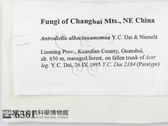 登錄號:F0006361藏品圖，第2張