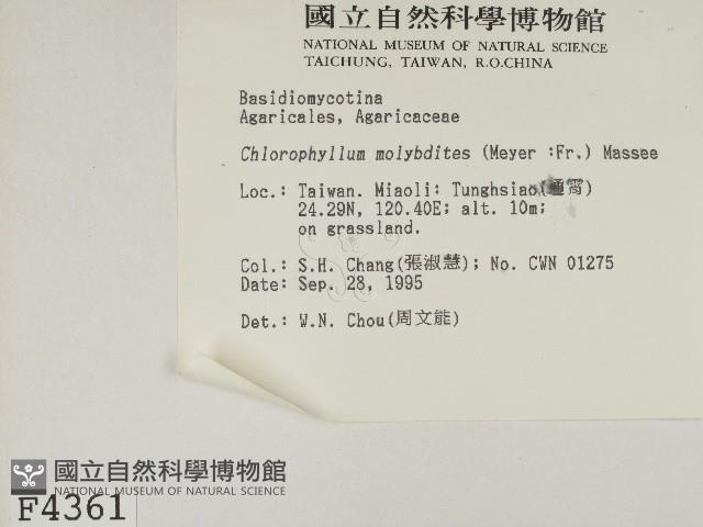 登錄號:F0004361藏品圖，第2張