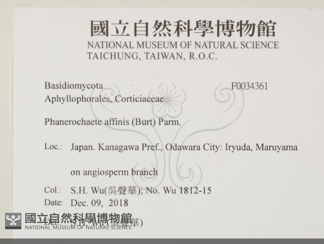 登錄號:F0034361藏品圖，第2張