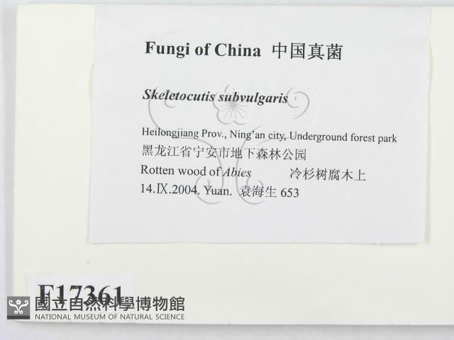 登錄號:F0017361藏品圖，第2張