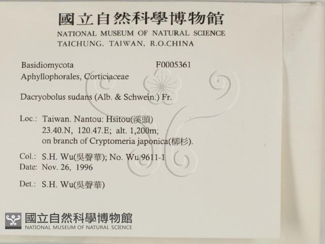 登錄號:F0005361藏品圖，第2張