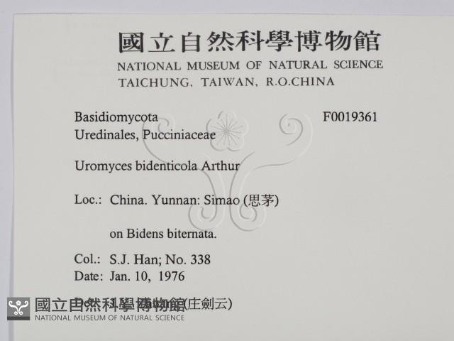 登錄號:F0019361藏品圖，第2張
