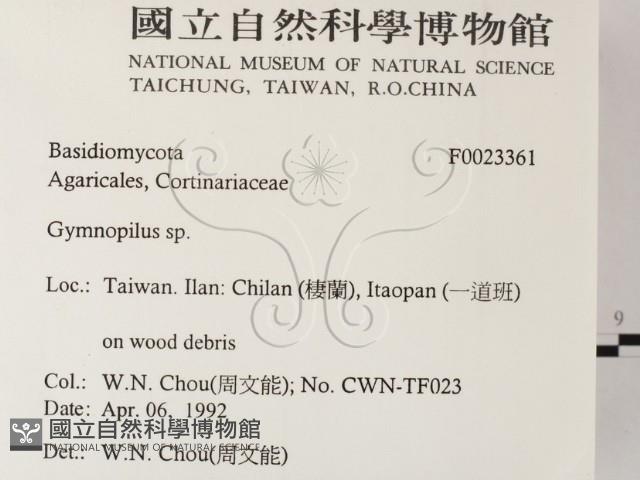 登錄號:F0023361藏品圖，第2張