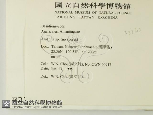 登錄號:F0003361藏品圖，第2張