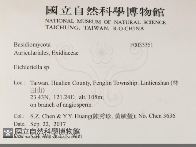 登錄號:F0033361藏品圖，第2張