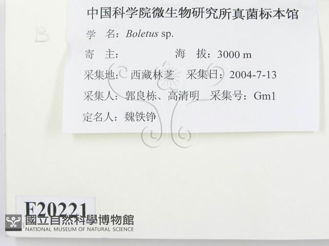 館號:F0020221藏品圖，第2張
