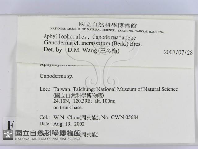 登錄號:F0016221藏品圖，第2張