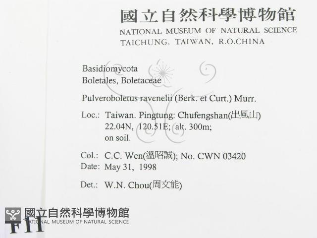 登錄號:F0011221藏品圖，第2張