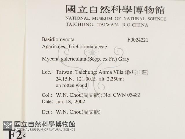 登錄號:F0024221藏品圖，第2張