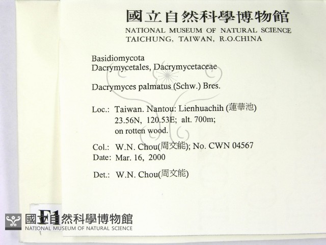 登錄號:F0014221藏品圖，第2張