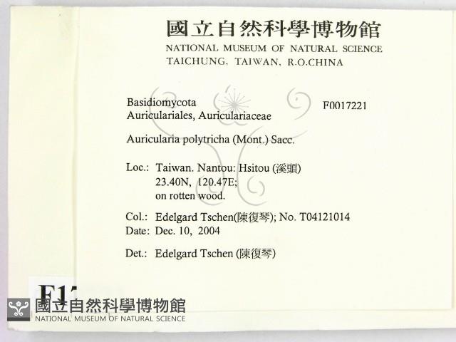 毛木耳藏品圖，第2張