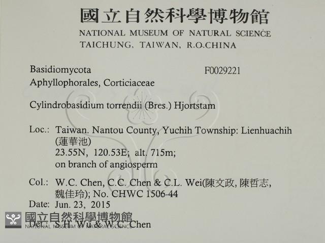 登錄號:F0029221藏品圖，第2張