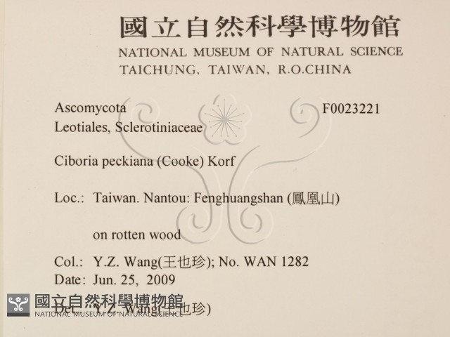 登錄號:F0023221藏品圖，第2張
