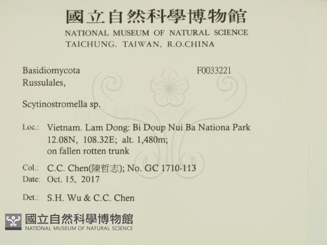 登錄號:F0033221藏品圖，第2張