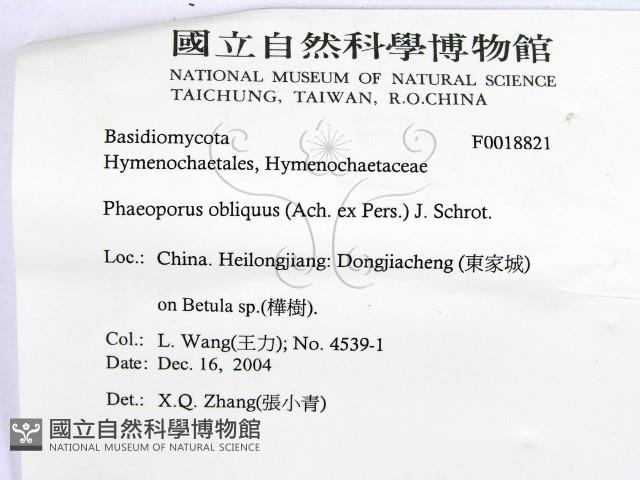 登錄號:F0018821藏品圖，第2張