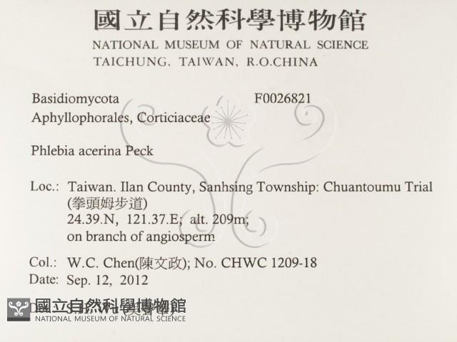 登錄號:F0026821藏品圖，第2張