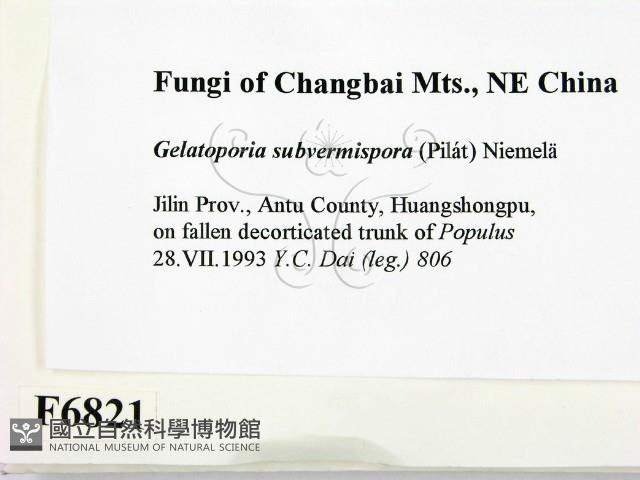 登錄號:F0006821藏品圖，第2張