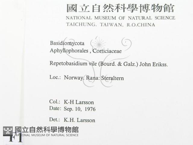 登錄號:F0016821藏品圖，第2張