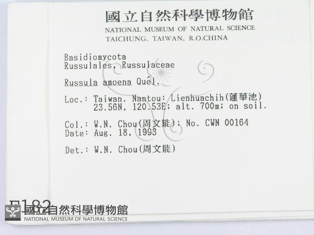 登錄號:F0001821藏品圖，第2張