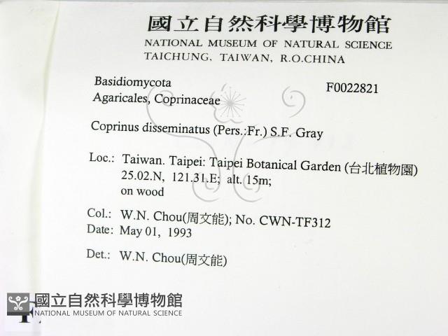 登錄號:F0022821藏品圖，第2張