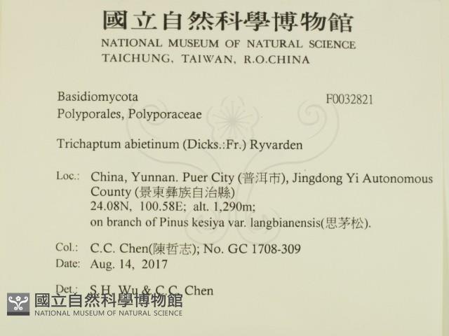 登錄號:F0032821藏品圖，第2張