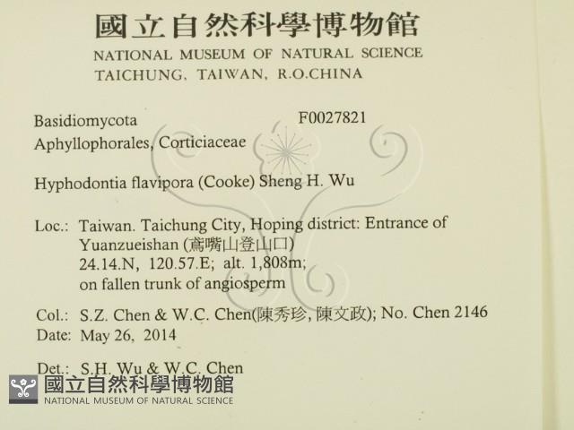 登錄號:F0027821藏品圖，第2張