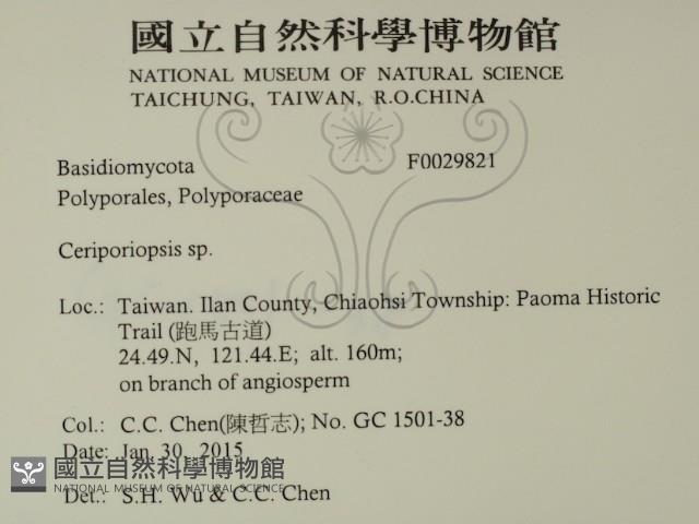 登錄號:F0029821藏品圖，第2張