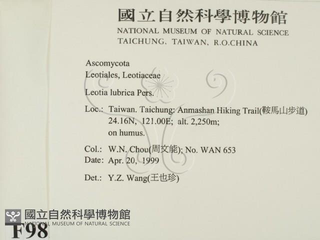 登錄號:F0009821藏品圖，第2張