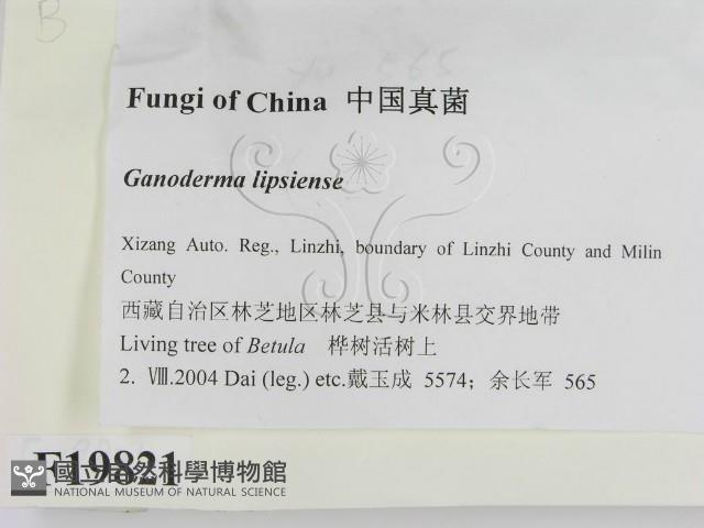 登錄號:F0019821藏品圖，第2張