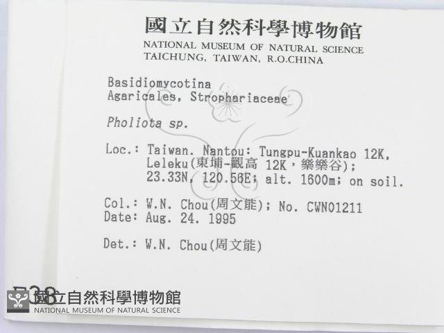 登錄號:F0003821藏品圖，第2張